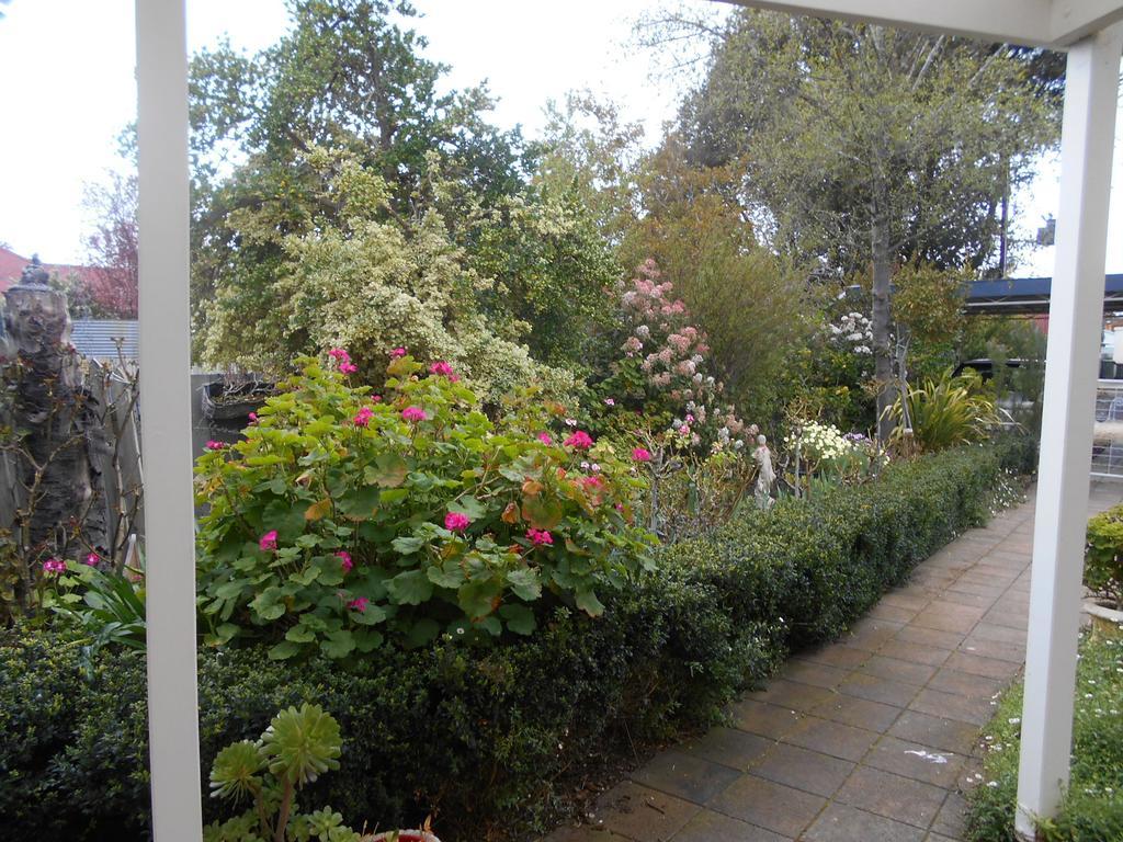 Travellers Rest B&B Penola Værelse billede